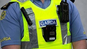 Nitrates derogation for Irish farmers is top priority for government, Agriculture Minister says