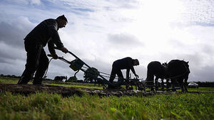 ‘Huge issue’ of trespassing and dog attacks discussed at Ploughing Championships