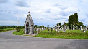 <p>Moyanna graveyard in Vicarstown. Photo: Historic Graves</p>