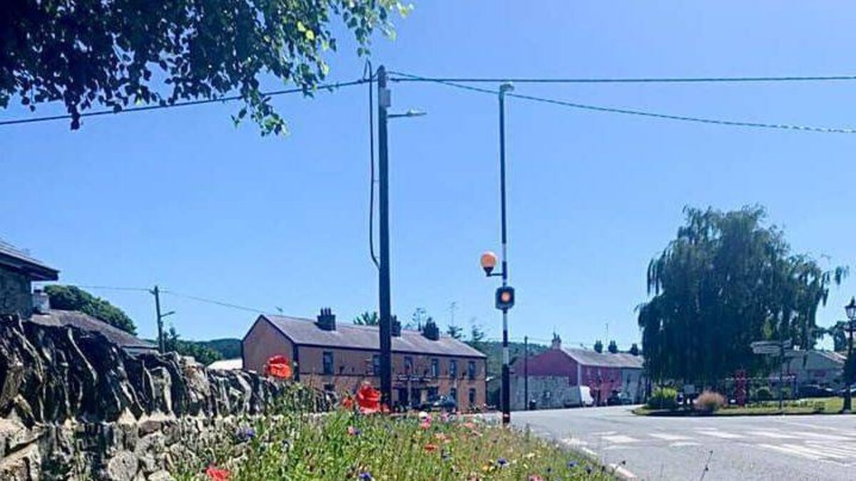 "Someone is going to be killed" in Laois village