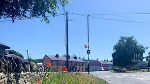 <p>Kerr's Corner in Timahoe pictured in 2022, when the verge was planted with wildflowers by Colm McEvoy Pitch Maintenance. Photo: Colm McEvoy </p>