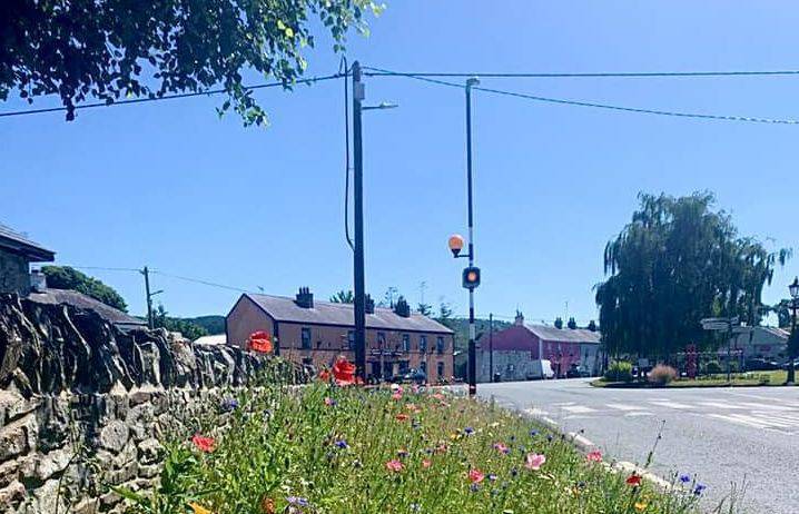 &quot;Someone is going to be killed&quot; in Laois village - News - Laois Nationalist