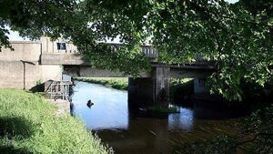Laois councillor says "gobshite" is applying EU law