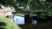 Laois councillor says "gobshite" is applying EU law