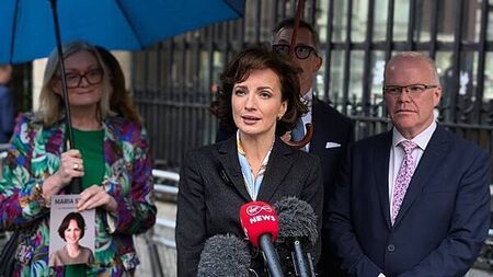 Michael Healy-Rae nominates Maria Steen for presidential election