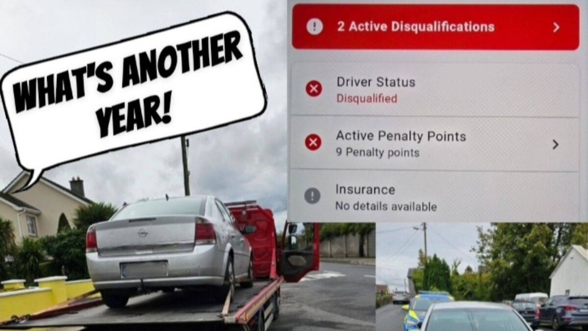 Driver on 15-year ban caught in Portlaoise