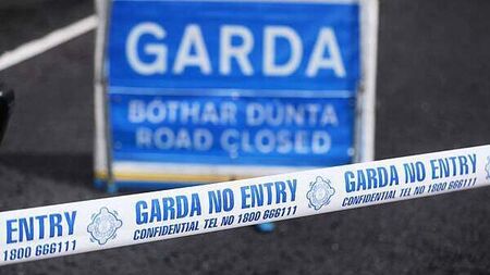 Man (40s) dies after being struck by car on Cork motorway