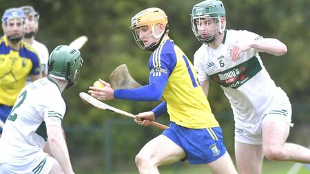 Abbeyleix have a final against near neighbours, The Harps to look forward to after getting the better of Portlaoise