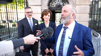 Maria Steen closer to making ballot after Independent Ireland back her campaign