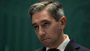 Taoiseach says history should not be rewritten over Government’s record