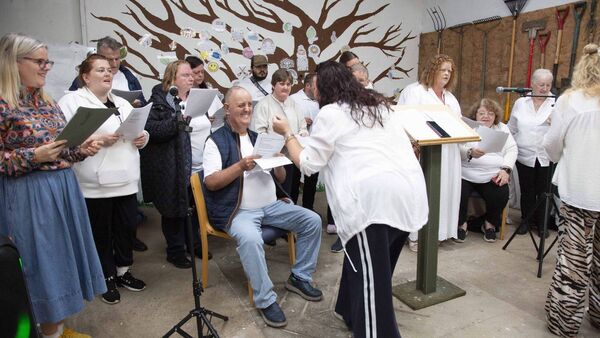 PHOTOS: Culture Night celebrations in Portlaoise