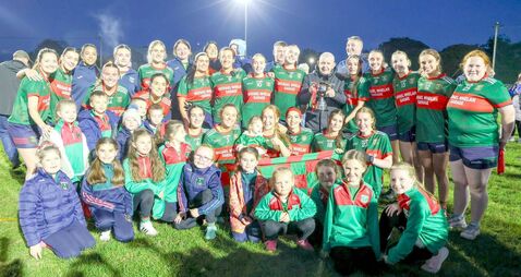 Branagan bags four as Graiguecullen claim historic title 