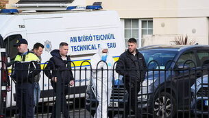 Ireland 'not immune' from potential drone attacks - Tánaiste