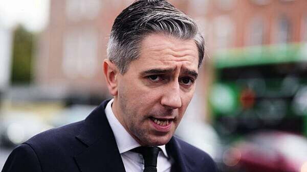 Ireland 'not immune' from potential drone attacks - Tánaiste