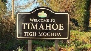 <p>The derelict house is located in the picturesque village of Timahoe </p>