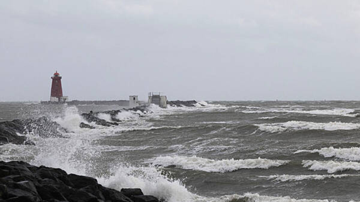 Storm Amy: Met Éireann warn of power outages with gale force winds to hit over the weekend