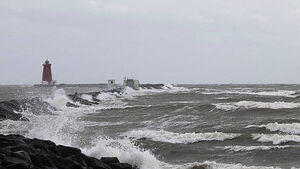 Storm Amy: Met Éireann warn of power outages with gale force winds to hit over the weekend