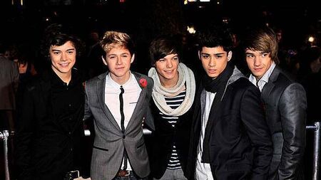 One Direction Netflix documentary announced