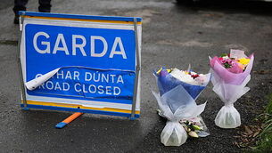 Body of man discovered in Co Meath