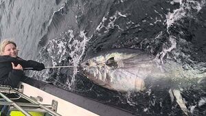 Biggest fish ever caught in Ireland hooked off coast of Donegal
