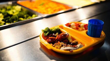 Laois councillor claims school meals scheme not catering for those with  dietary needs