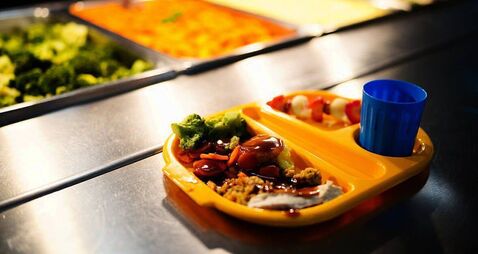 Laois councillor claims school meals scheme not catering for those with  dietary needs