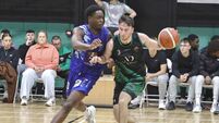 Panthers maul Maree in a blistering start to Men’s National League campaign 