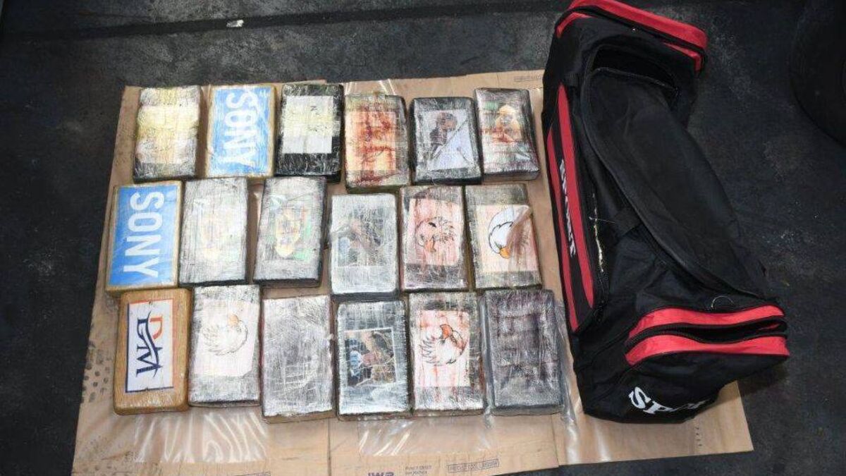 Properties in Laois searched in €8.2m drugs raids