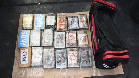 Properties in Laois searched in €8.2m drugs raids