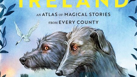 Magical Laois tale features in new book