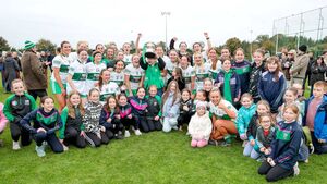 Portlaoise power past reigning champions to regain senior title