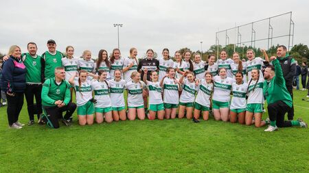 Brophy and Dempsey shine as Portlaoise capture U1/6 A Championship