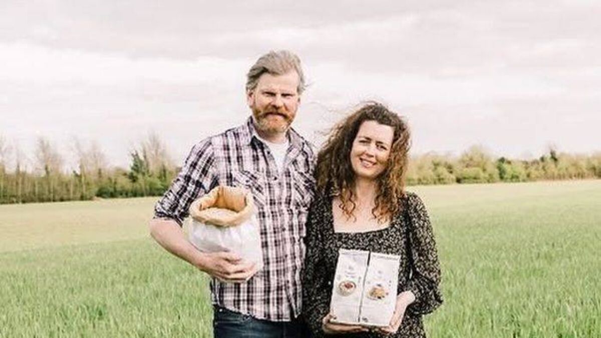 Two Laois firms strike gold at green awards