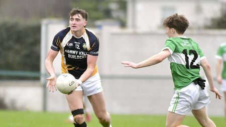 Crettyard see off Ballyfin to secure senior status for 2026