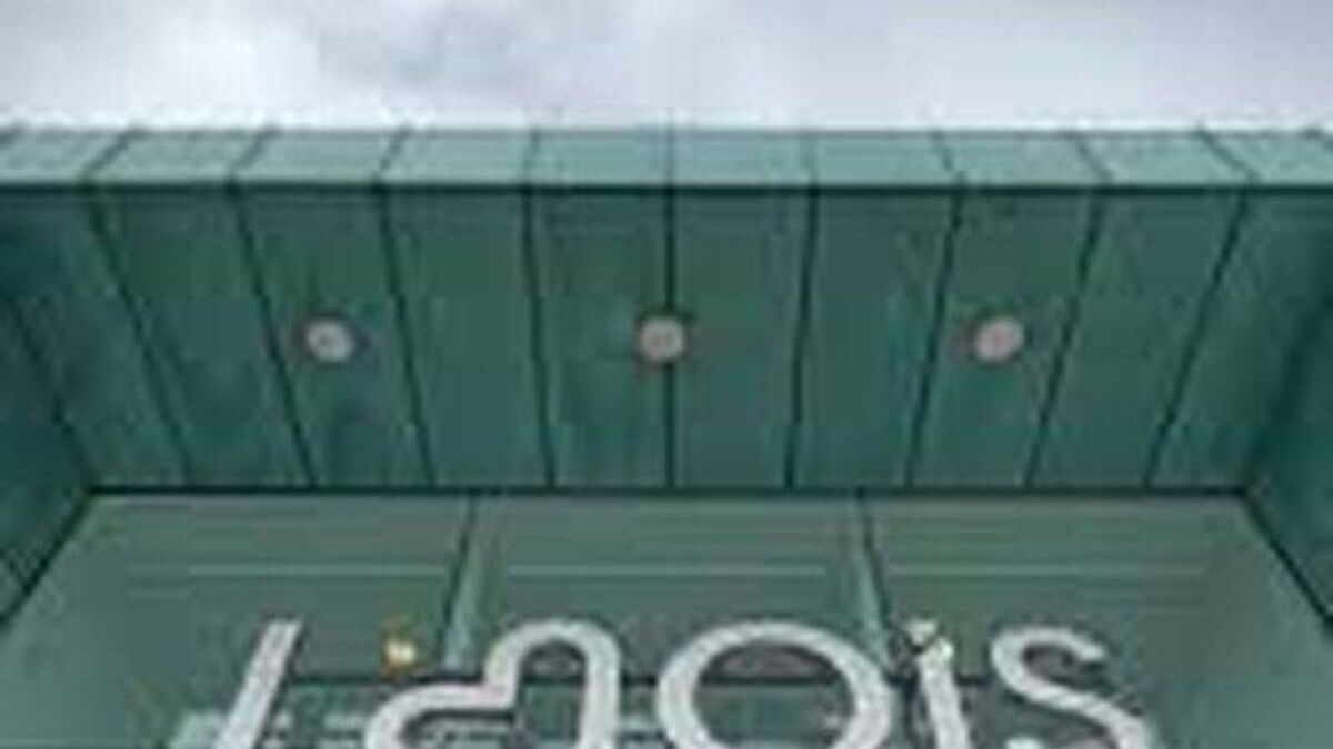 Laois youth caused €3.5k worth of damages to sprinkler system at local shopping centre