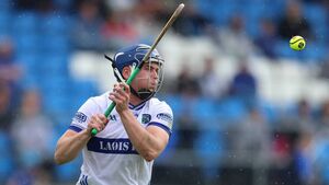 Five Laois players named on McDonagh Cup team of the year