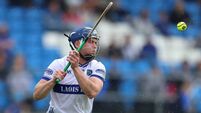 Five Laois players named on McDonagh Cup team of the year