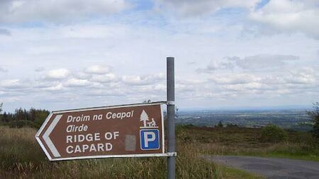 Vandalism at Laois tourist attraction is among 30 cases reported in national parks