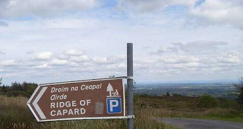Vandalism at Laois tourist attraction is among 30 cases reported in national parks