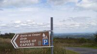 Vandalism at Laois tourist attraction is among 30 cases reported in national parks