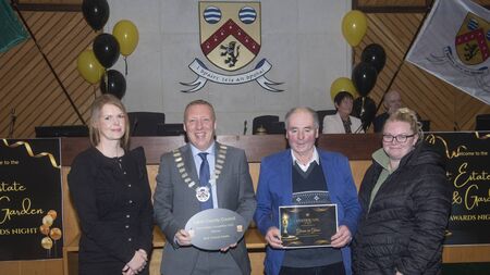 Village housing estate is best in Laois