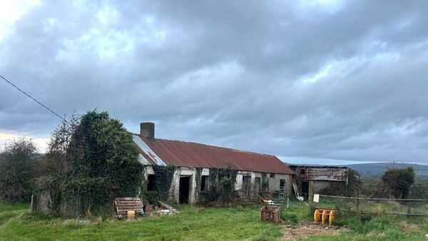 Camross land sells for €100k over reserve!