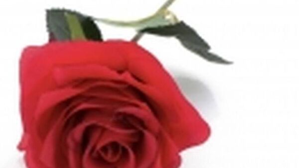 Laois death notice: Jamie Brennan, Portlaoise