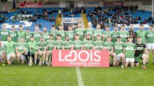 Goal-happy Ballyfin make the return to the senior hurling ranks