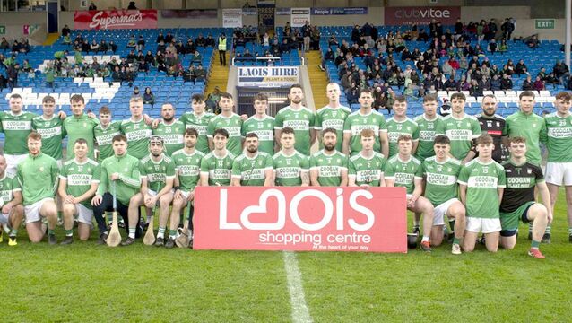 <p>Ballyfin who claimed the Premier Hurling Championship title when getting the better of Rathdowney/ Errill at Laois Hire O'Moore Park on Saturday Photo: Denis Byrne</p>