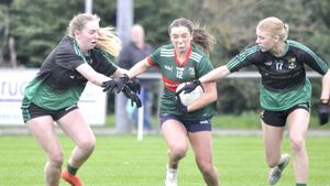Balyna goals crush Graiguecullen’s Leinster hopes