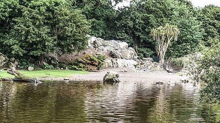 Fota Wildlife Park to remain closed