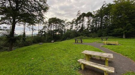 Spruce-up needed at Laois woodland picnic area