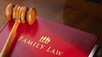 Laois man who allegedly assaulted partner is given bail