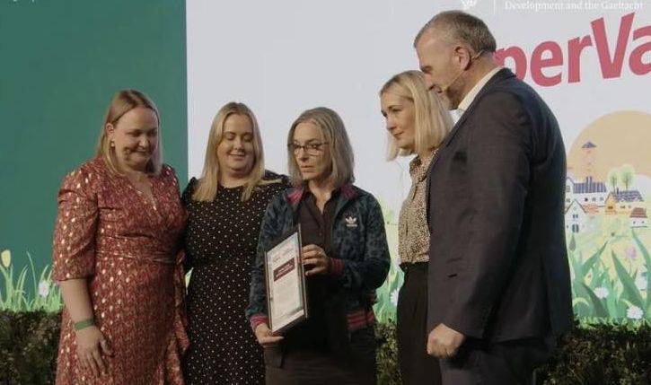 Three golds for Laois in national Tidy Towns contest  - News - Laois Nationalist